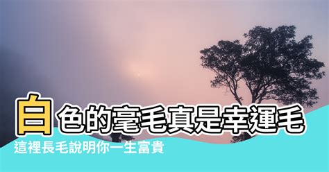 身體長白色長毛